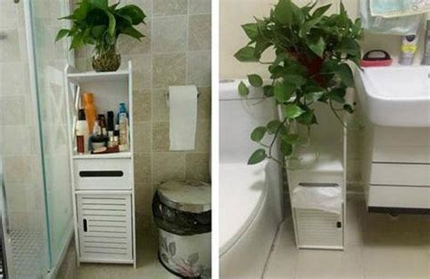 廁所植物擺放 鏡子破掉怎麼丟